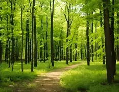 爱游戏下载-峰度控股骆国峰